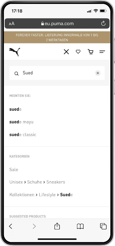 Search fly-out control