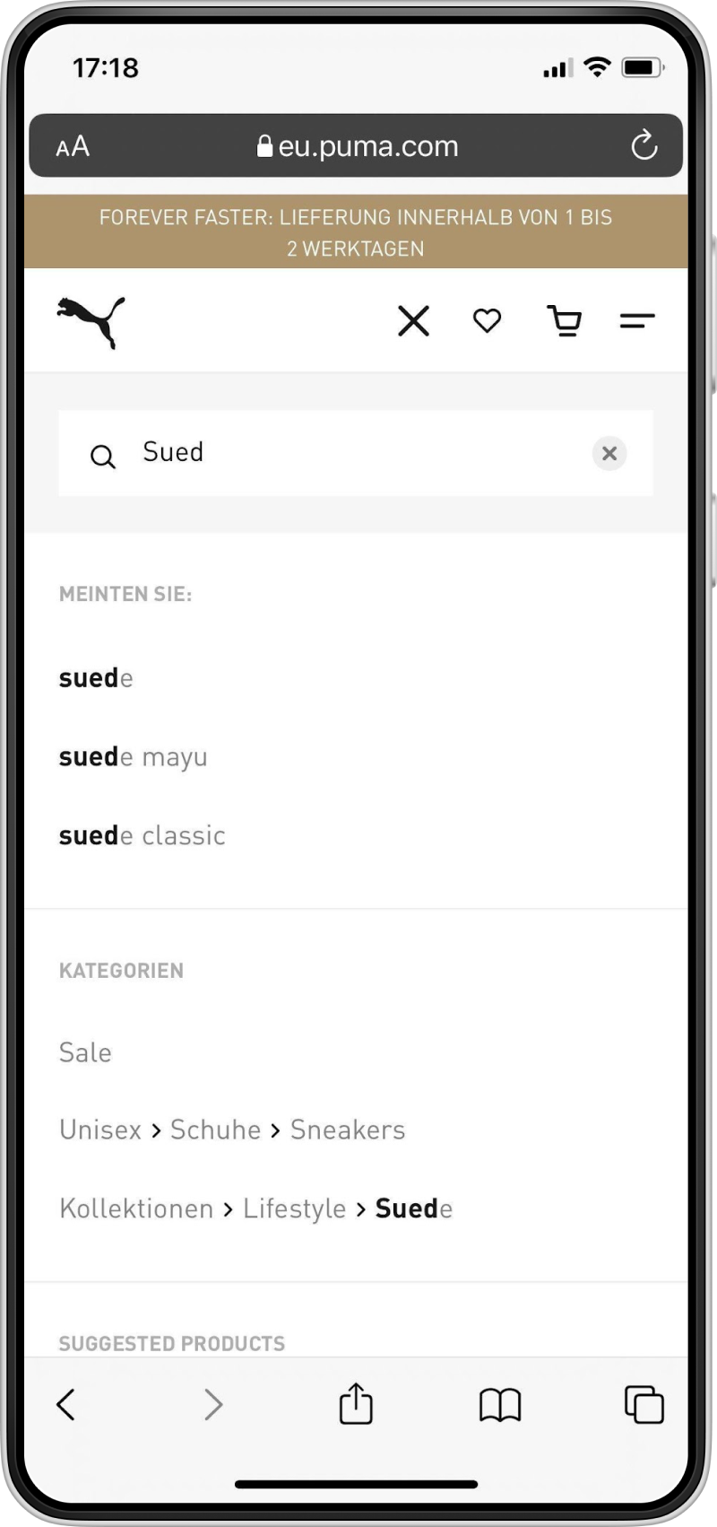Search fly-out control